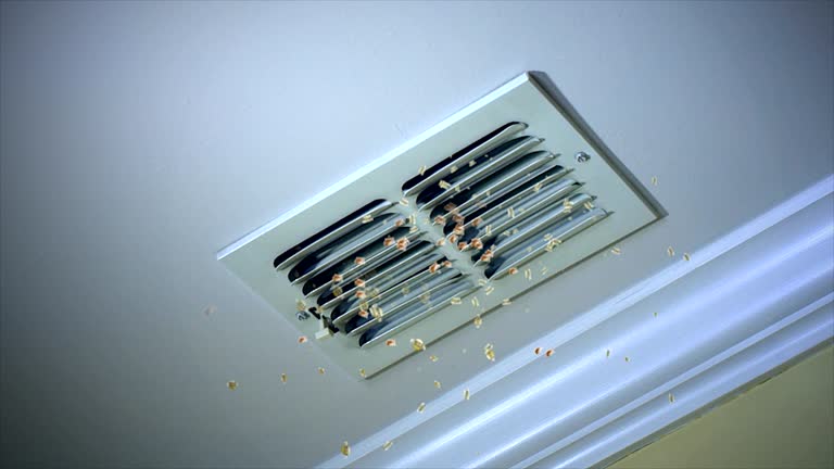 Best Best Air Duct Cleaning Company  in Carlin, NV