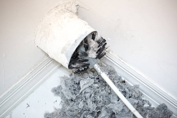 Best Professional Duct Cleaning Services  in Carlin, NV